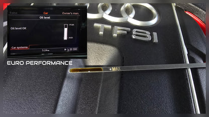 Audi 4.0T Engine Oil Dipstick (Copy)