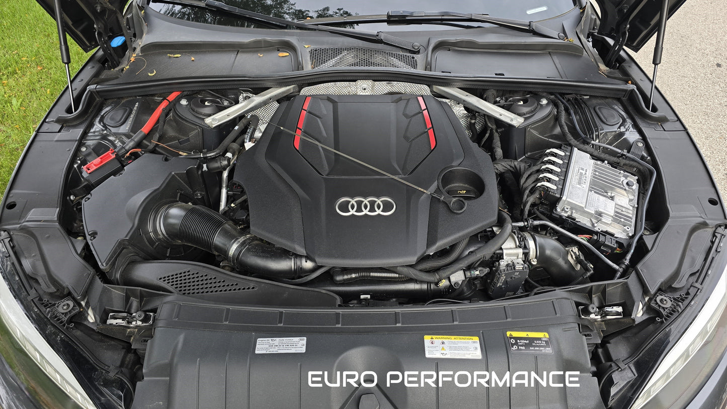 Dipstick | Audi S5 | 3.0L Turbo