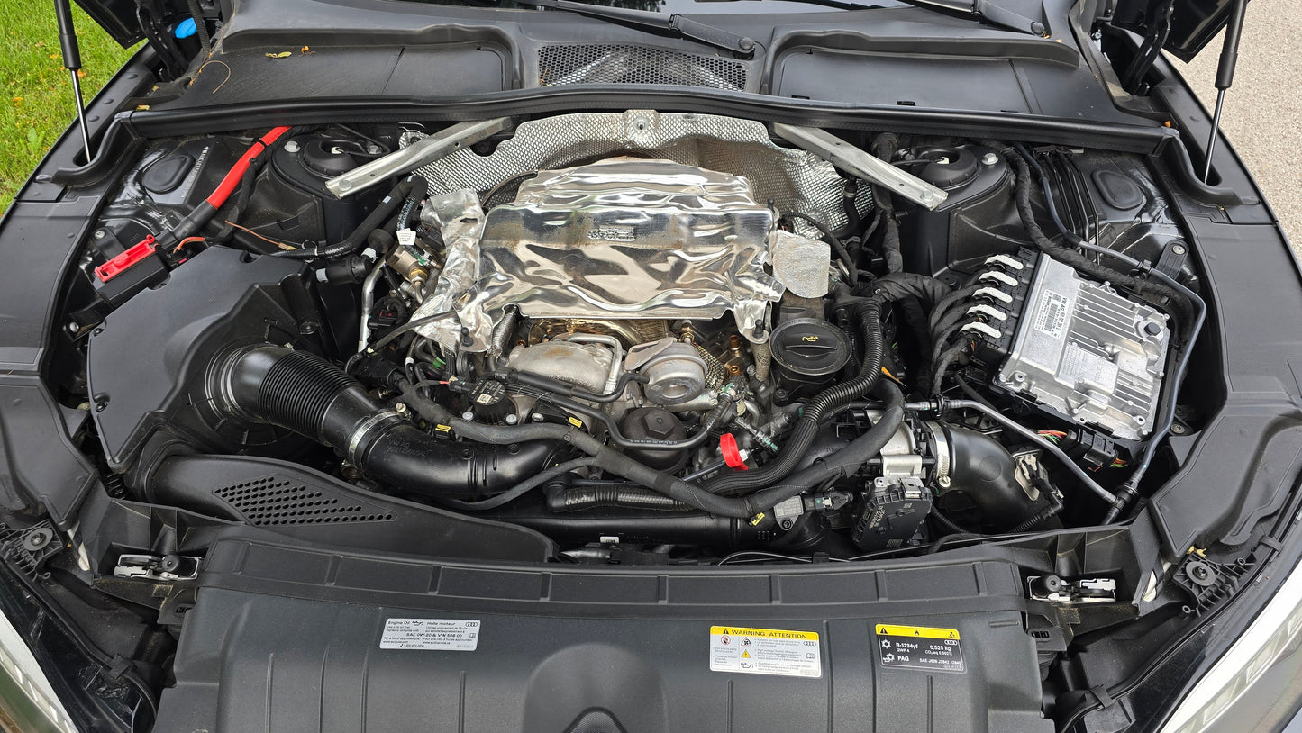 Dipstick | Audi S5 | 3.0L Turbo